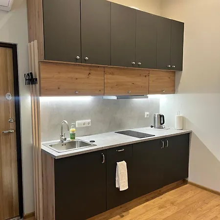 Berzo Kampelis Mieste Apartmán Kaunas