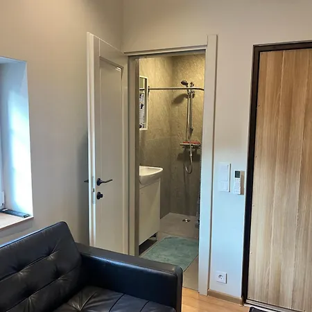 Apartmán Berzo Kampelis Mieste Kaunas