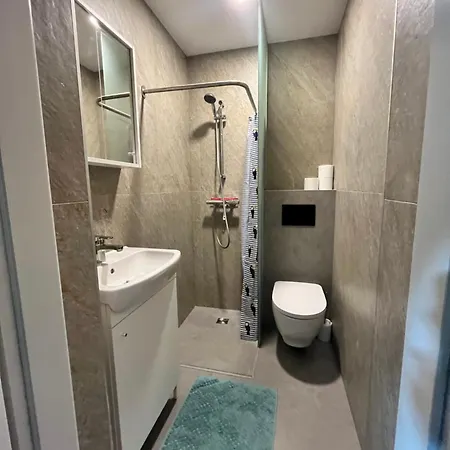 Berzo Kampelis Mieste