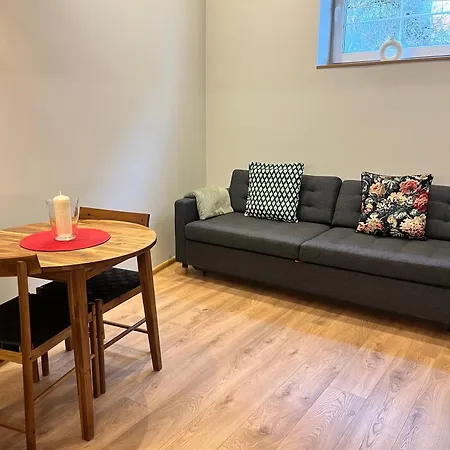 Berzo Kampelis Mieste Apartamento Kaunas