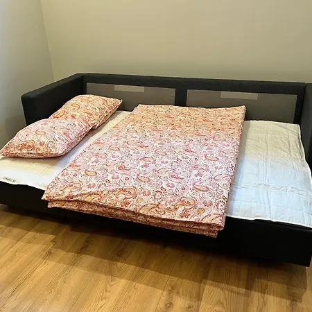 Berzo Kampelis Mieste Apartmán Kaunas