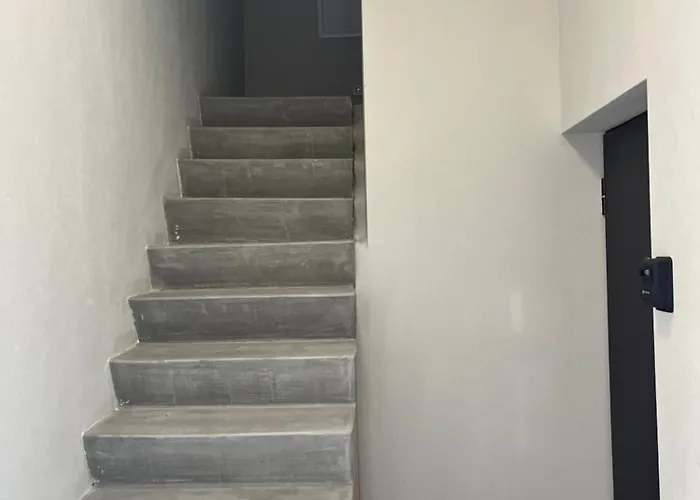 Berzo Kampelis Mieste * Kaunas