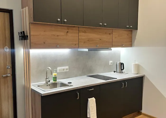 Berzo Kampelis Mieste Apartman Kaunas