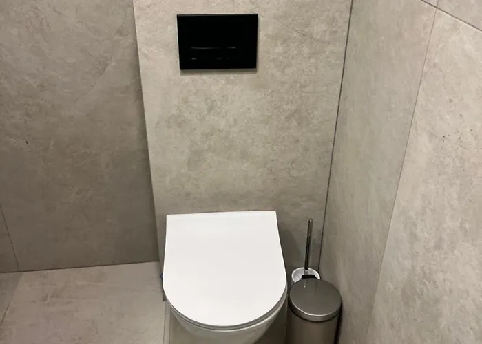 Berzo Kampelis Mieste