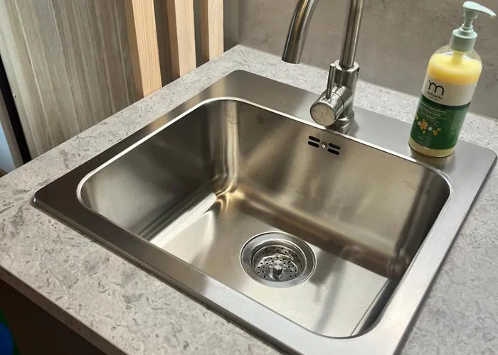 Berzo Kampelis Mieste * Kaunas