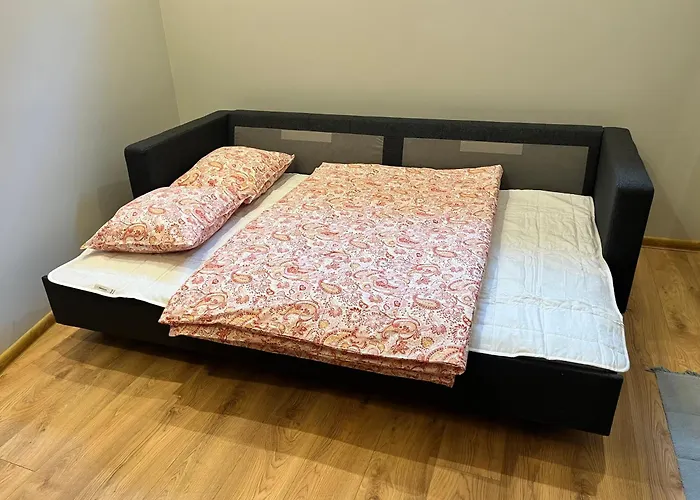 Berzo Kampelis Mieste Apartman Kaunas